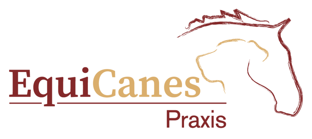 EquiCanes Logo4c Praxis 1