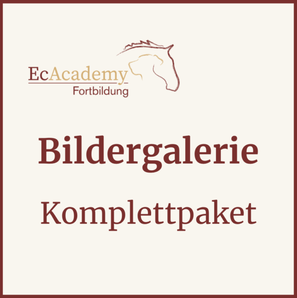 Bildergalerie 8 Komplettpaket