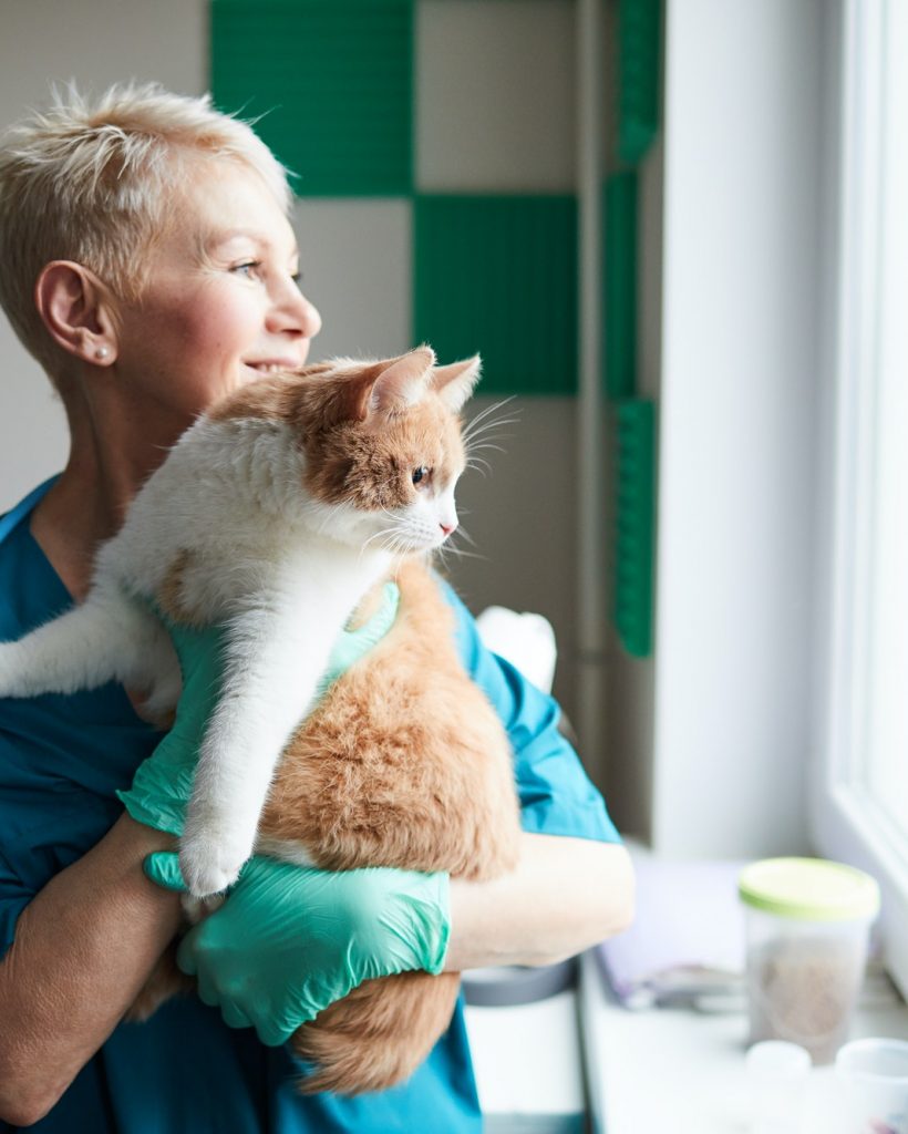 happy vet doctor with cat